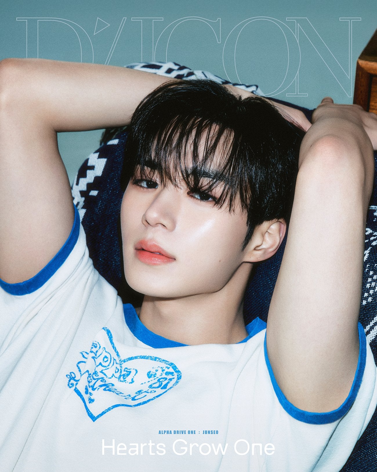 DICON VOLUME Nº33 ALPHA DRIVE ONE：B-TYPE HEARTS GROW ONE JUNSEO