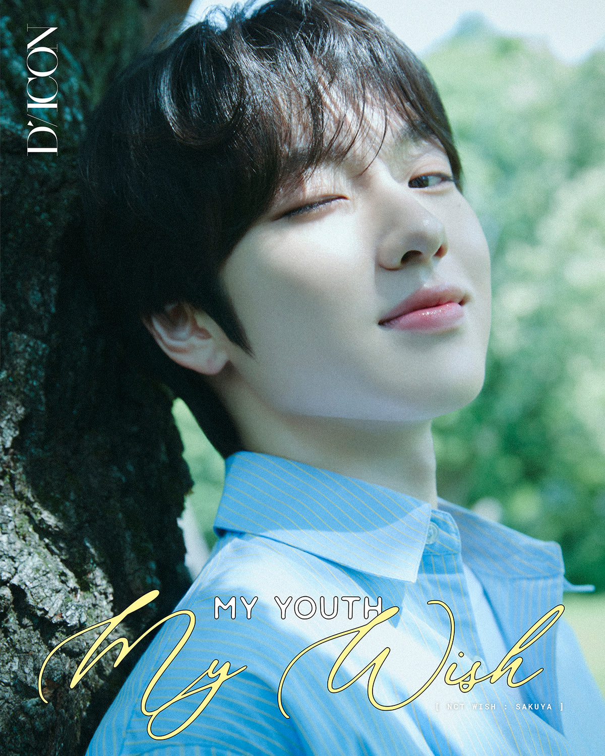 DICON VOLUME N°29 NCT WISH：A-TYPE MY YOUTH, MY WISH SAKUYA ver.