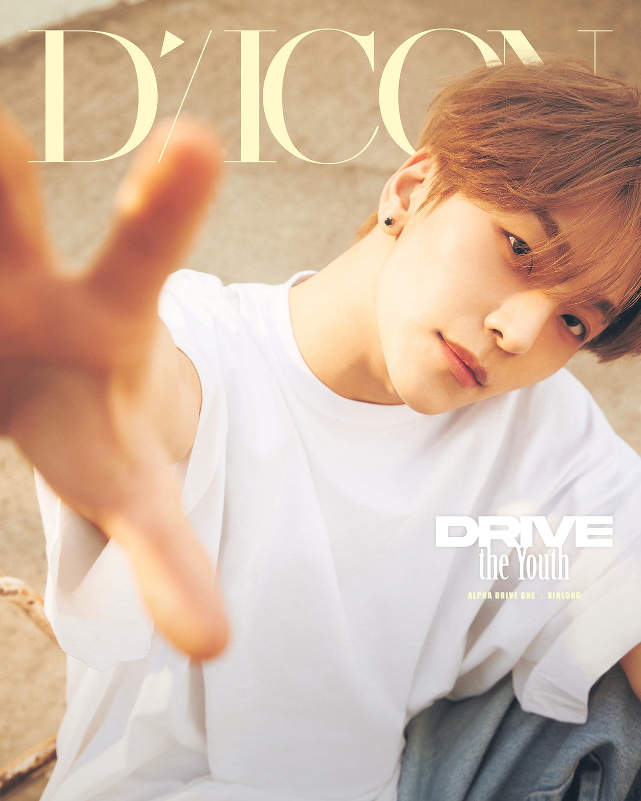 DICON VOLUME Nº33 ALPHA DRIVE ONE：A-TYPE DRIVE THE YOUTH XINLONG