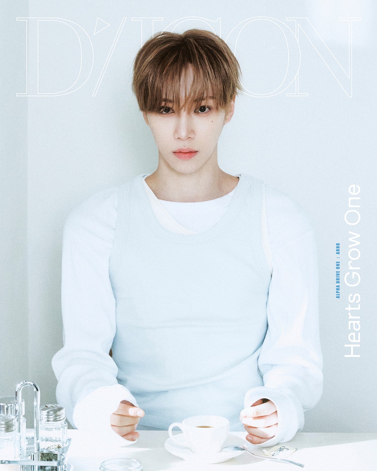 ポリーニ DG録音CD 31個セット ポリーニ DG録音CD 31個セットの通販 | LIFESTYLEAYURVEDIC