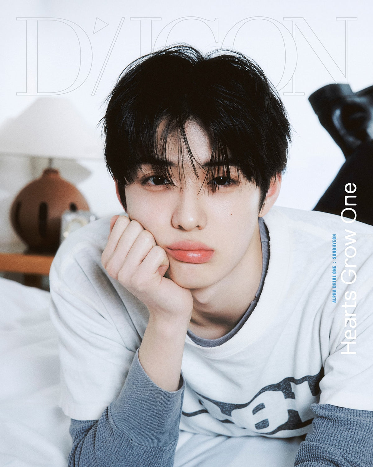 DICON VOLUME Nº33 ALPHA DRIVE ONE：B-TYPE HEARTS GROW ONE SANGHYEON ver.