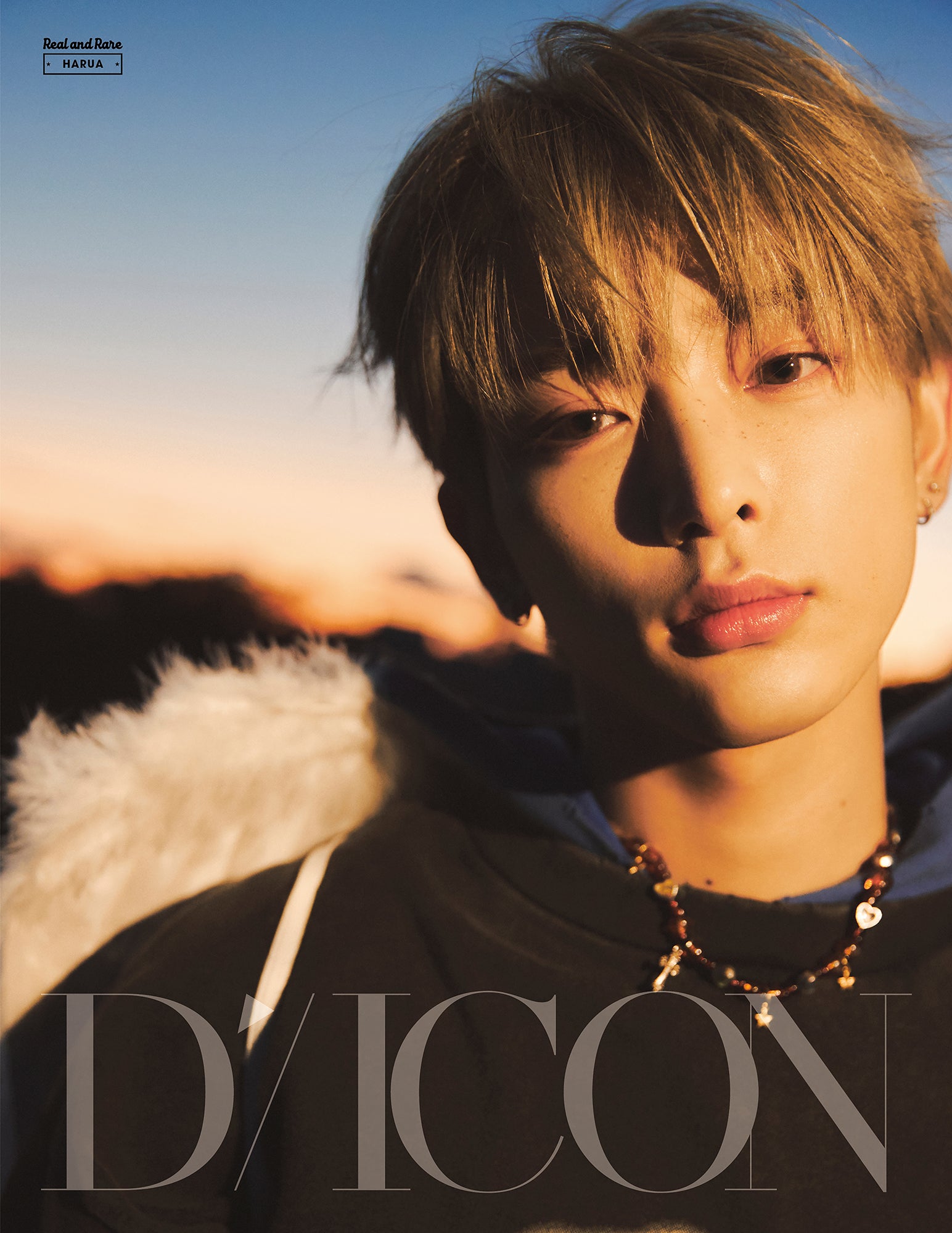 DICON VOLUME N°28 &TEAM：B-TYPE Real and Rare HARUA ver. – D