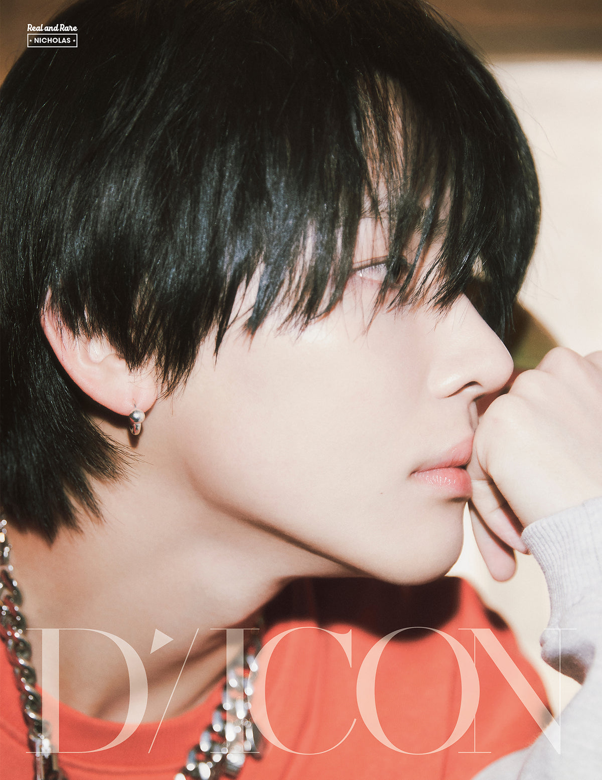 DICON VOLUME N°28 &TEAM：B-TYPE Real and Rare NICHOLAS ver.