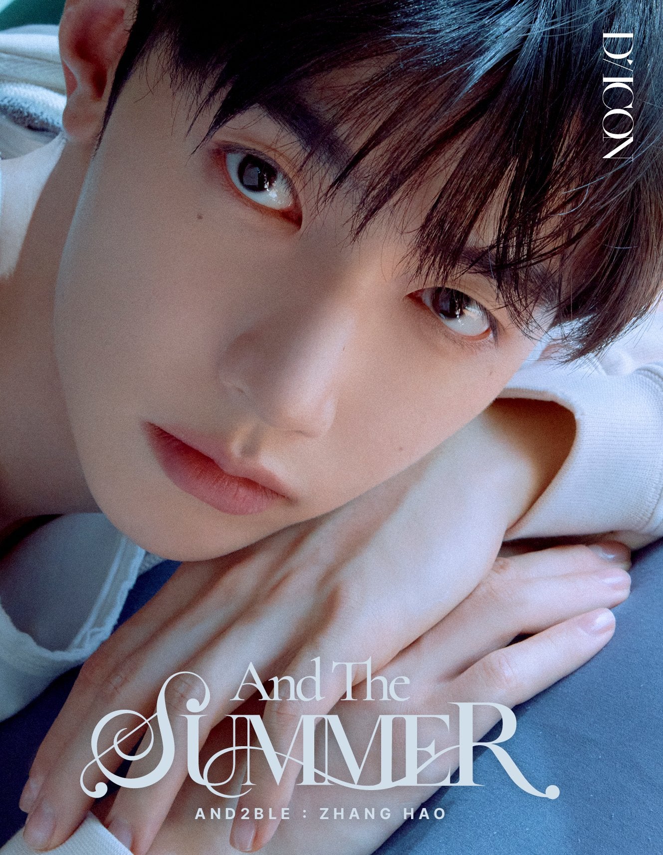 B-TYPE DICON VOLUME N°35 AND2BLE AND THE SUMMER ZHANG HAO ver.