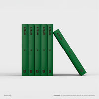 DICON JAPAN EDITION N°02 &TEAM